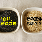 へそのごまが白いのはなぜ？？臭いの原因も徹底的に解説します！