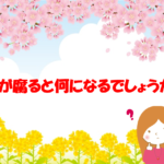 【春に関するなぞなぞクイズ 20問】あなたは何問解ける!?春を感じよう！